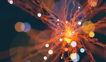 Dielectric Loss